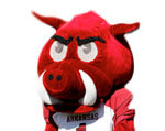 Mascot Arkansas