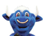 Mascot Buffalo