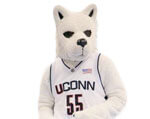 Mascot Connecticut