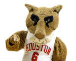 Mascot Houston