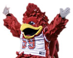 Mascot Jacksonville State Gamecocks