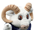 Mascot Navy