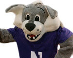 Mascot Northwestern