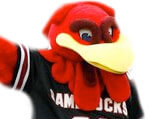 Mascot South Carolina