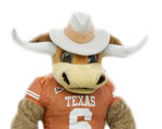 Mascot Texas