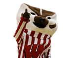 Mascot Wisconsin